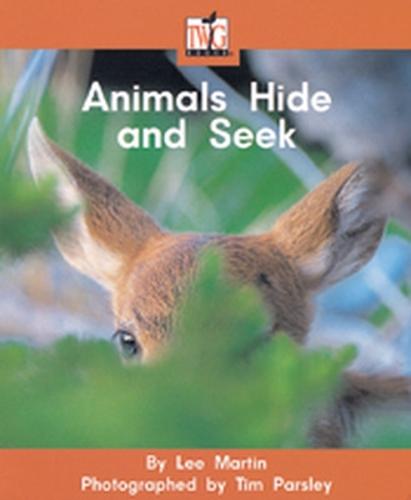 Animals Hide And Seek - TWIG (Paperback)