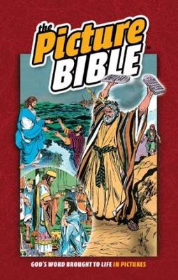 The Picture Bible (Hardback)