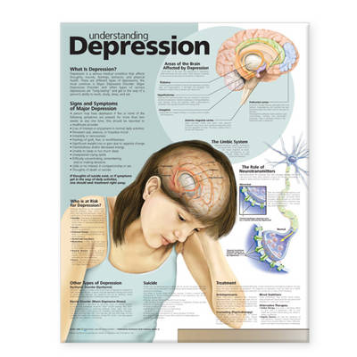 Understanding Depression Anatomical Chart (Wallchart)