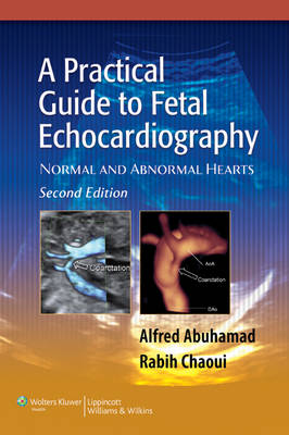 A Practical Guide to Fetal Echocardiography: Normal and Abnormal Hearts (Hardback)