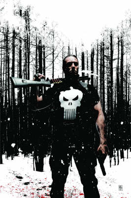Punisher Max Vol.4 (Hardback)