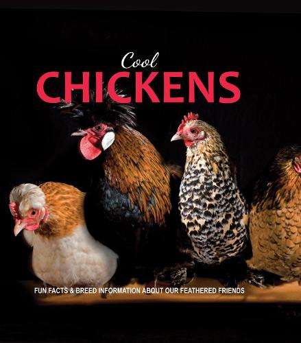 Cool Chickens (Paperback)
