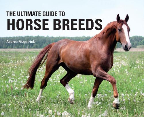 The Ultimate Guide to Horse Breeds (Hardback)