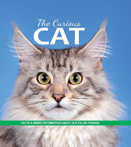 The Curious Cat: Facts and breed information on our feline friends (Paperback)