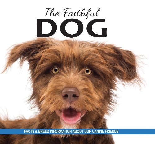 The Faithful Dog: Facts and breed information on our canine friends (Paperback)
