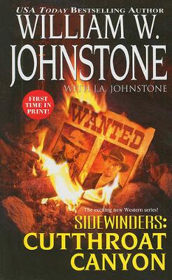 Sidewinders: #3 (Paperback)