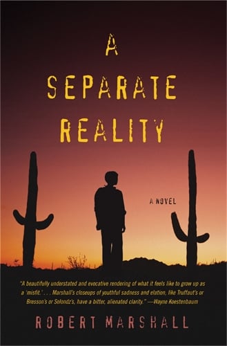 A Separate Reality: A Novel (Paperback)