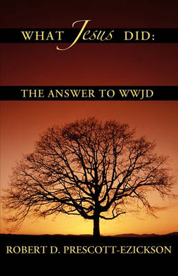 What Jesus Did (Paperback)