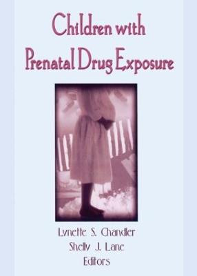 Children With Prenatal Drug Exposure (Paperback)