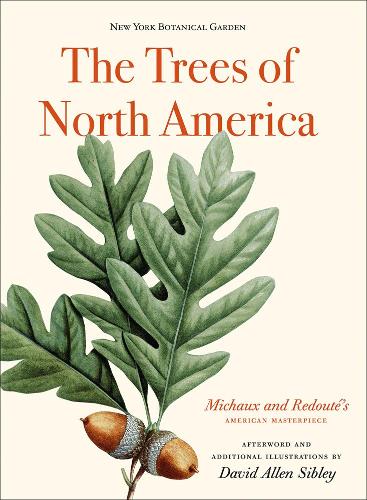 The Trees of North America: Michaux and Redouté's American Masterpiece (Hardback)