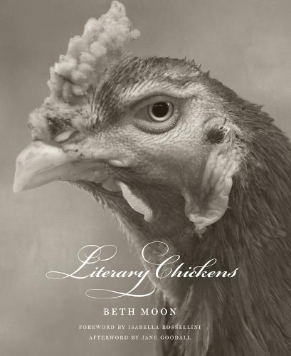 Literary Chickens (Hardback)