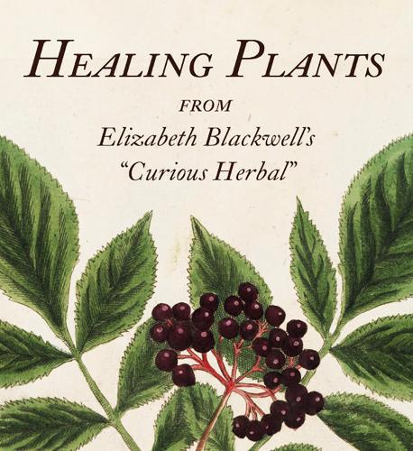 Healing Plants: From Elizabeth Blackwell's "Curious Herbal" - Tiny Folio (Hardback)