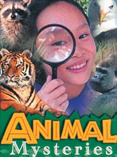 Animal Mysteries - Wildcats (Paperback)
