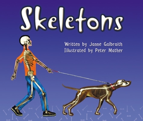 Skeletons - Storyteller 10 (Paperback)