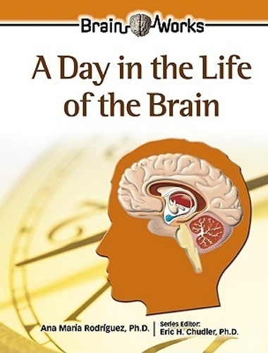 A Day in the Life of the Brain - Gray Matter for Juniors (Hardback)