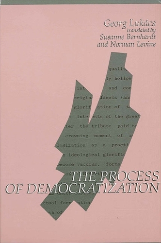 Process of Democratization, The - SUNY series in Contemporary Continental Philosophy (Paperback)