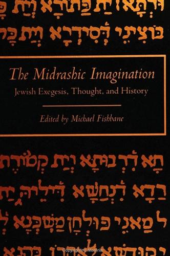 The Midrashic Imagination: Jewish Exegesis, Thought, and History (Paperback)