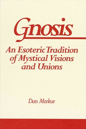 Gnosis: An Esoteric Tradition of Mystical Visions and Unions - SUNY series in Western Esoteric Traditions (Paperback)