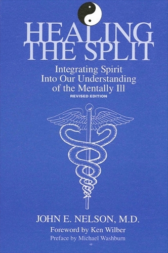 Healing the Split: Integrating Spirit Into Our Understanding of the Mentally Ill, Revised Edition - SUNY series in the Philosophy of Psychology (Paperback)