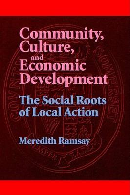 Community, Culture, and Economic Development: The Social Roots of Local Action - SUNY series, Democracy in American Politics (Paperback)