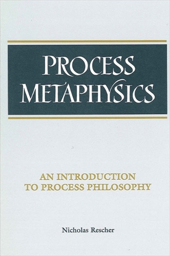 Process Metaphysics: An Introduction to Process Philosophy - SUNY Series in Philosophy (Paperback)