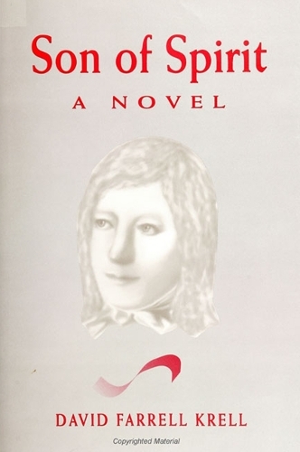 Son of Spirit: A Novel - SUNY Series in Contemporary Continental Philosophy (Hardback)