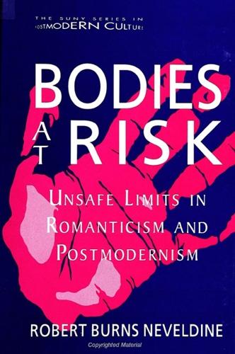 Bodies at Risk: Unsafe Limits in Romanticism and Postmodernism - SUNY series in Postmodern Culture (Paperback)