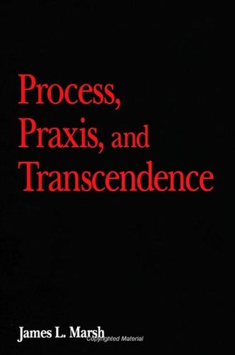 Process, Praxis, and Transcendence - SUNY series in the Philosophy of the Social Sciences (Paperback)