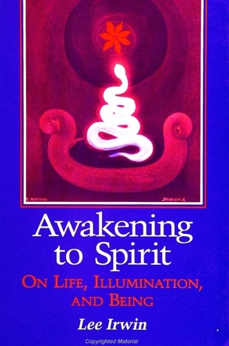 Awakening to Spirit: On Life, Illumination, and Being - Suny Series, Explorations in Contemporary Spirituality (Hardback)