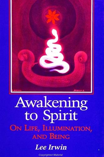 Awakening to Spirit: On Life, Illumination, and Being - SUNY series, Explorations in Contemporary Spirituality (Paperback)