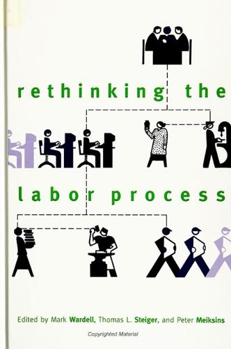 Rethinking the Labor Process - SUNY series, The New Inequalities (Paperback)