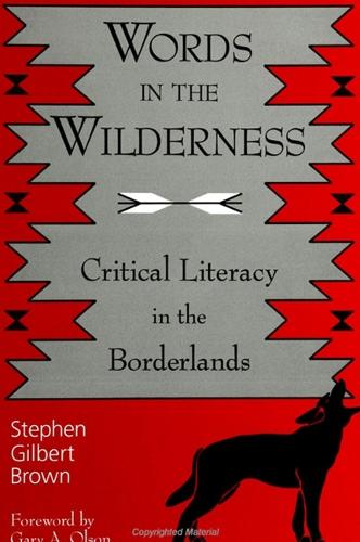 Words in the Wilderness: Critical Literacy in the Borderlands - SUNY series, INTERRUPTIONS: Border Testimony(ies) and Critical Discourse/s (Paperback)