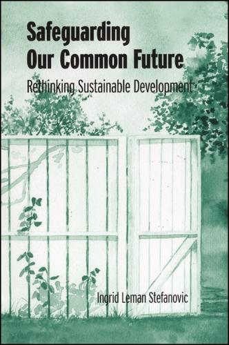 Safeguarding Our Common Future: Rethinking Sustainable Development - SUNY series in Environmental and Architectural Phenomenology (Paperback)