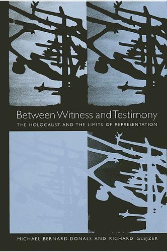 Between Witness and Testimony: The Holocaust and the Limits of Representation (Paperback)