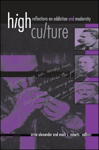 High Culture: Reflections on Addiction and Modernity - SUNY series, Hot Topics: Contemporary Philosophy and Culture (Hardback)