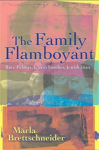 The Family Flamboyant: Race Politics, Queer Families, Jewish Lives - SUNY series in Feminist Criticism and Theory (Hardback)