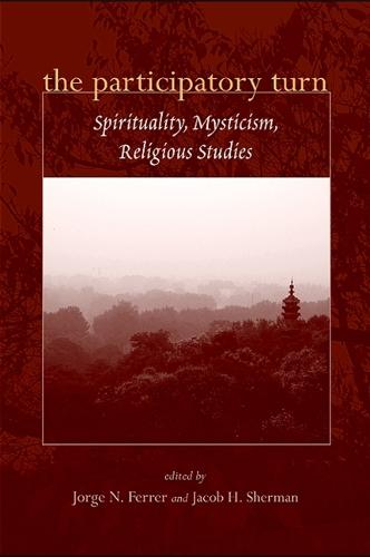 The Participatory Turn: Spirituality, Mysticism, Religious Studies (Paperback)