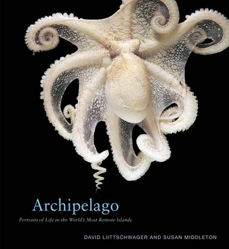 Archipelago: Portraits Of Life (Hardback)