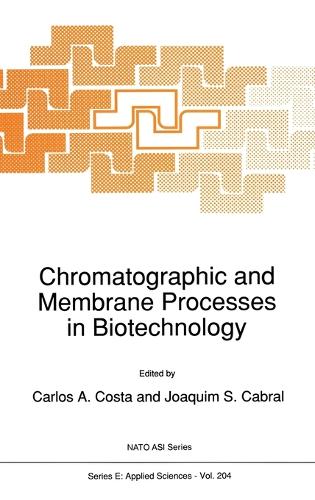 Chromatographic and Membrane Processes in Biotechnology 1990: Institute Proceedings - NATO Science Series E: v. 204 (Hardback)