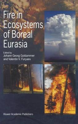 Fire in Ecosystems of Boreal Eurasia - Forestry Sciences 48 (Hardback)