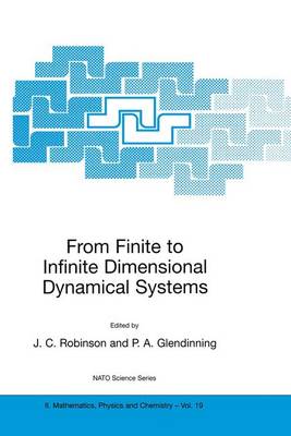 From Finite to Infinite Dimensional Dynamical Systems - NATO Science Series II 19 (Paperback)