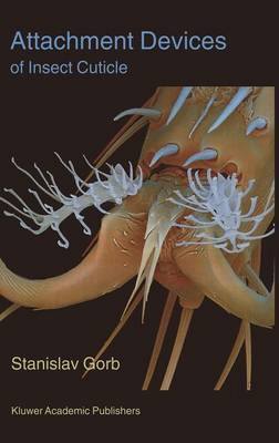 Attachment Devices of Insect Cuticle (Hardback)