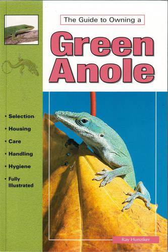 Green Anoles (Paperback)