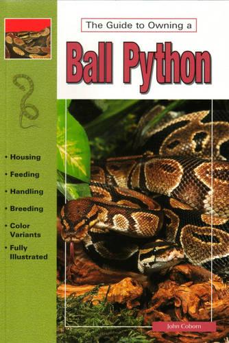 Ball Pythons (Paperback)