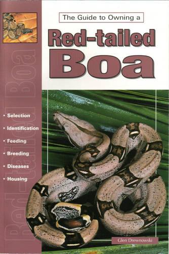 Red-tailed Boas and Other Boa Constrictors (Paperback)
