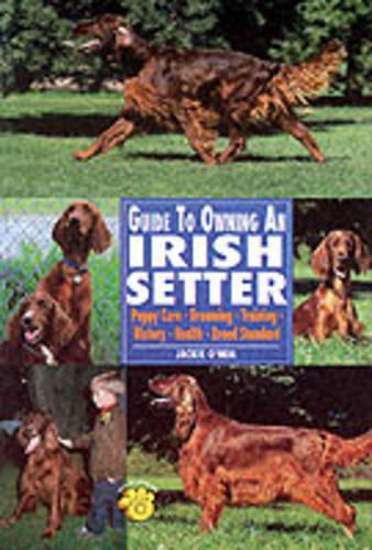 Guide to Owning an Irish Setter: Puppy Care, Grooming, Training, History, Health, Breed Standard (Paperback)