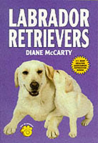 Labrador Retrievers (Paperback)