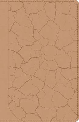 God Guy Bible (Leather / fine binding)