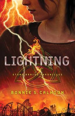 Lightning: A Novel (Paperback)