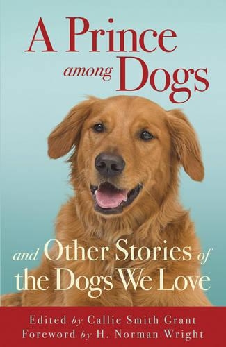 A Prince Among Dogs: and Other Stories of the Dogs We Love (Paperback)